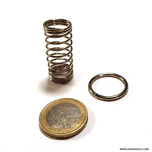 Load image into Gallery viewer, Spring&Ring